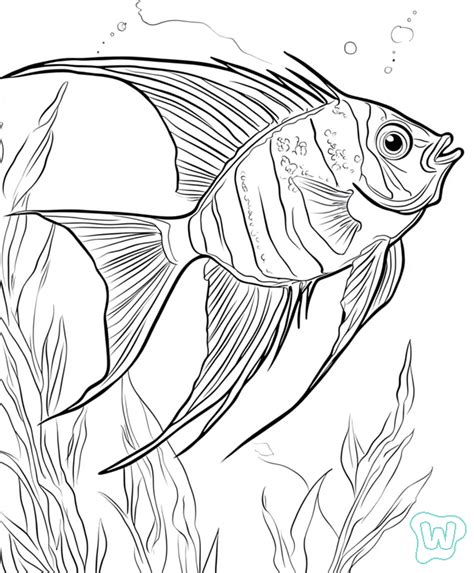 Tips for Selecting High-Quality Realistic Fish Coloring Pages