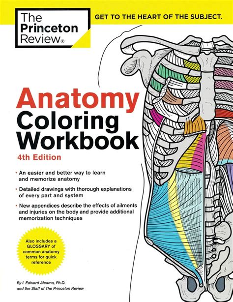 Tips for Selecting the Best Coloring Workbook Pdf