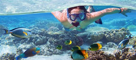Tips for Snorkeling Tour