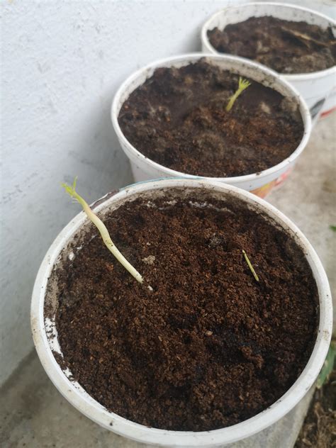 Tips for Successful Stratification