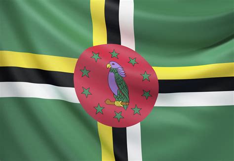 Tips for Successfully Applying to PAPs