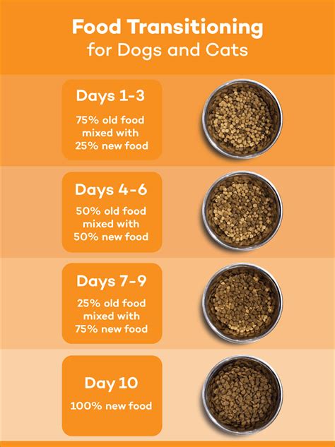 Tips for Transitioning to Optimum Dog Food