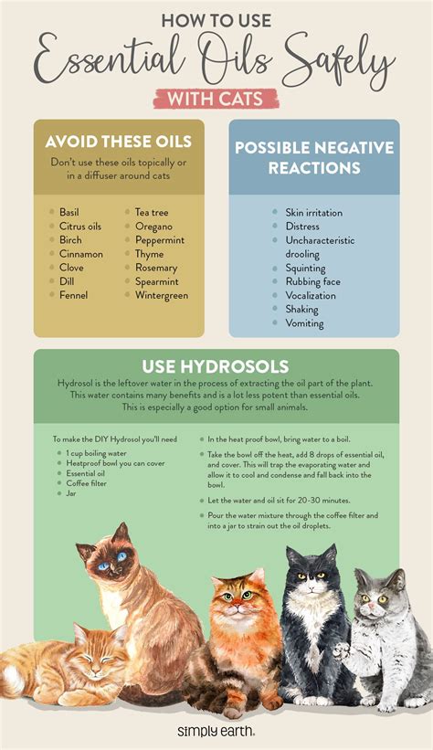Tips for Using Essential Oils Around Cats