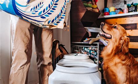 Tips for Using Your Dog Food Storage Container Effectively