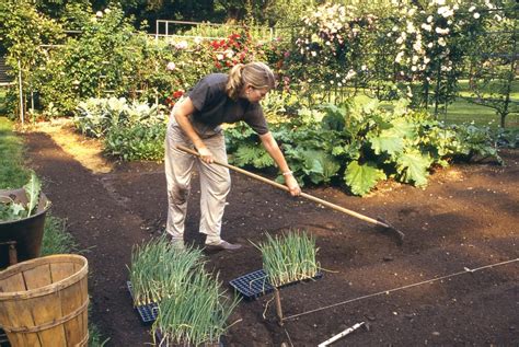 Tips for Using Your Martha Stewart Planting Spade Effectively