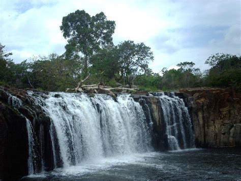 Tips for Visiting La Chorrera