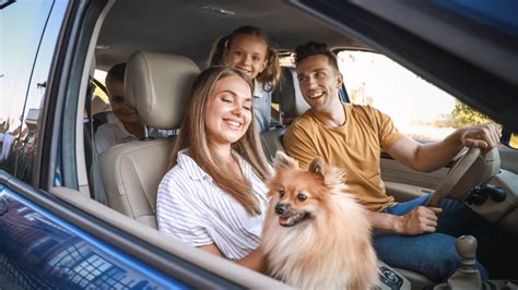 Tips for a Smooth Veterans Day Visit