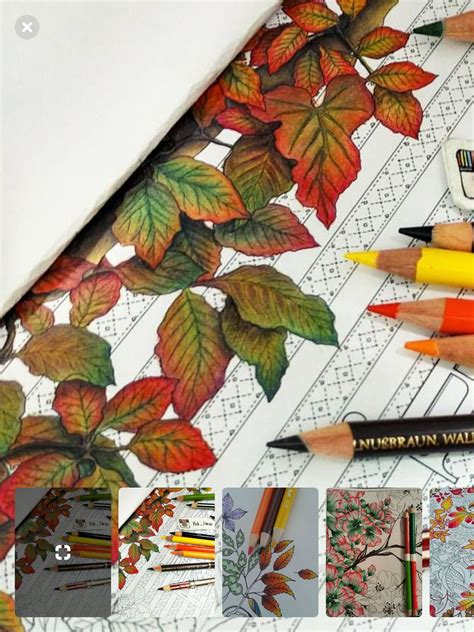 Tips for an Amazing Fall Coloring Experience
