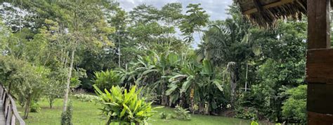 Tips for visiting Sabalillo Jungle