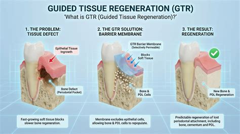 Tissue Regeneration in Portland OR