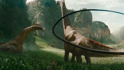 Titanosaur Evolution