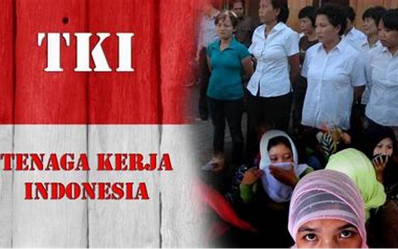 Tki Indonesia