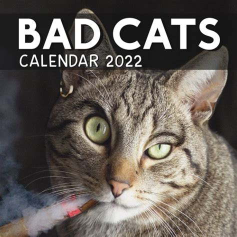 Bad Cat 2022 Wall Calendar