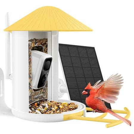 Today&rsquo;s best Netvue Birdfy deal in the US
