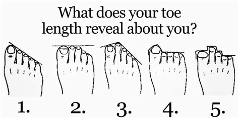 Toe Length Chart