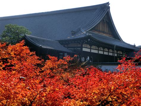 Kuil Tofukuji di Musim Gugur