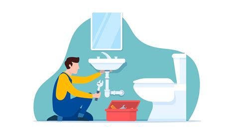 Toilet Repair Issues