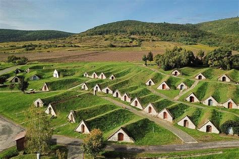 Tokaj Tour Options