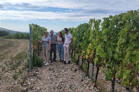 Tokaj tour guide