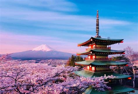Tokyo Mount Fuji Tour: Review of Highlights and Boat Cruise