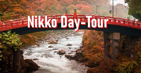Tokyo Nikko Tour: Is the Private English Guide Worth It?