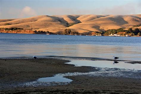 Tomales Bay Kayak FAQ
