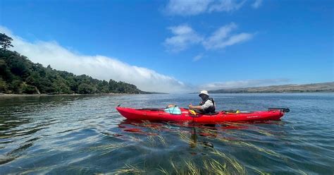 Tomales Bay Kayaking Views