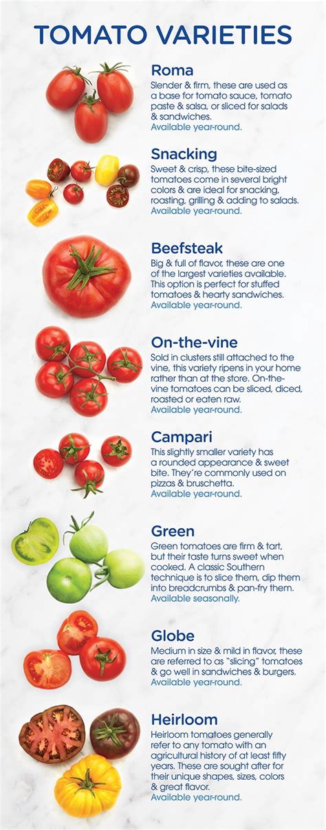 Tomato Variety Types Of Tomatoes Chart