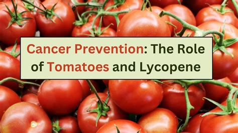 Tomatoes and Cancer Prevention