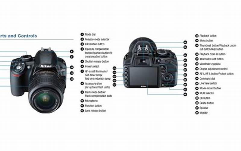 Tombol Rana Pada Kamera Nikon: Tips Untuk Mengambil Gambar Yang Lebih Baik