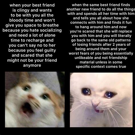 Too Clingy Clingy Friend Meme