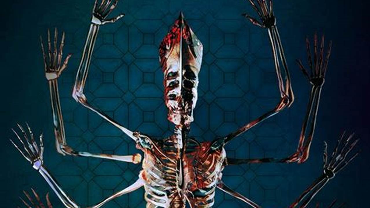 Tool In Concert 2024