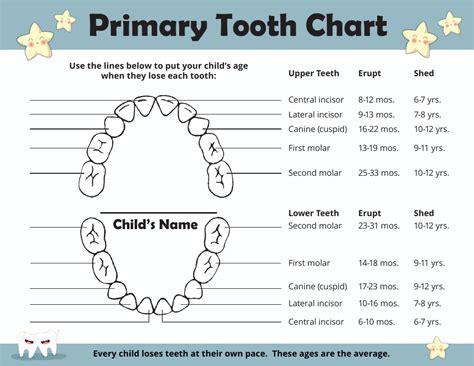Tooth Chart For Primary Teeth