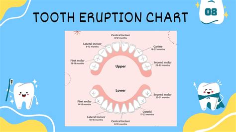 Tooth Eruption: What Parents Need to Know.