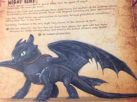 Toothless Takes Flight: A Comprehensive Guide to 'How to Train Your Dragon' Book Series