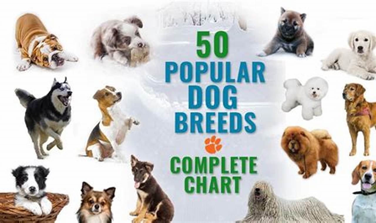 Top 20 Dog Breeds 2024