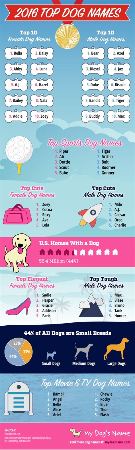 Top 10 Boy Dog Names 2016