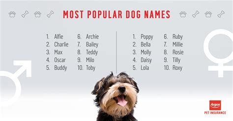 Top 10 Dog Names
