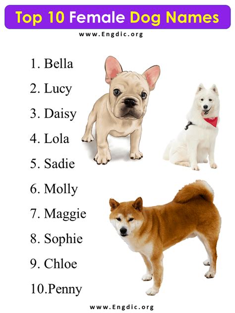 Top 10 Female Dog Names
