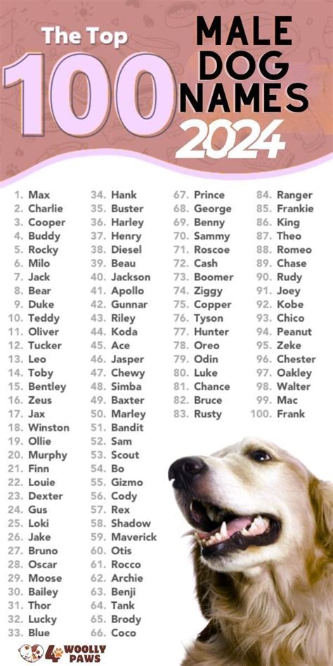 Top 100 Boy Dog Names