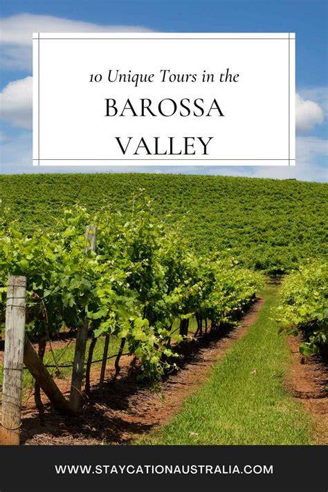 Top 4 Barossa Valley Car Tours