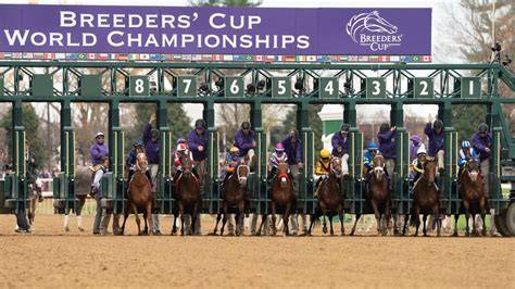 Top 7 Breeders Cup 2026 Tips That Actually Work
