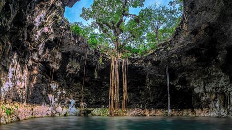 Top Cenotes Homun