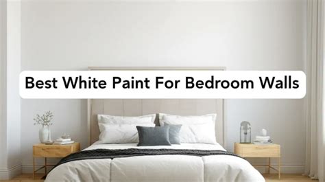 Top Contenders: Finding the Best Color By Number