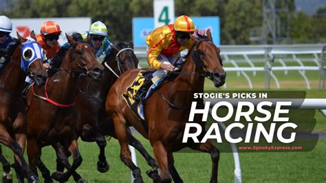 Top Contenders Our Picks for Value