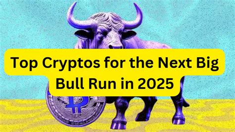 Top Cryptos For Next Bull Run