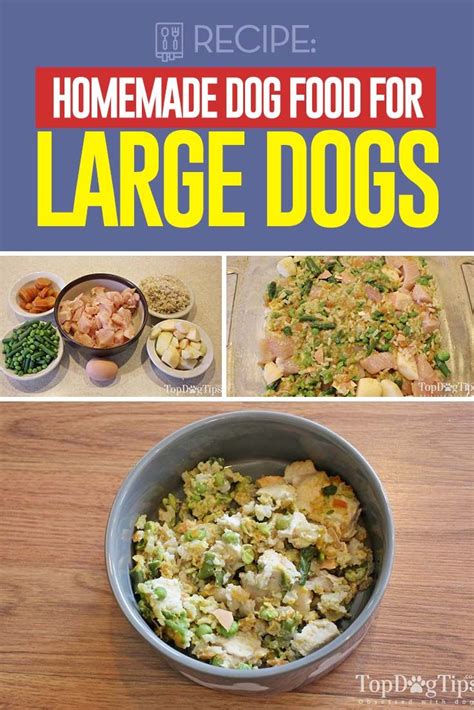 Top Dog Tips Recipes