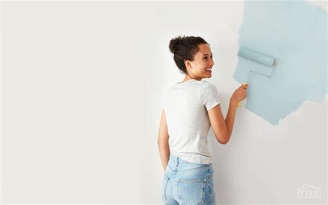 Top Picks for Premium Zero-VOC Options