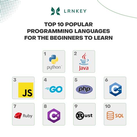 Top Programming Languages for Beginners