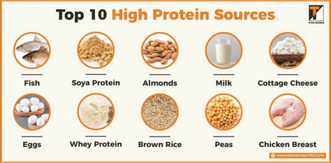 Top Protein Sources to Consider